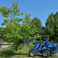 MultiOne mini loader 9 series with tree shear