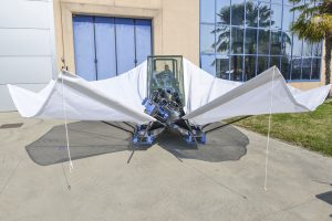 Pinza vibroscuotirice - Multione