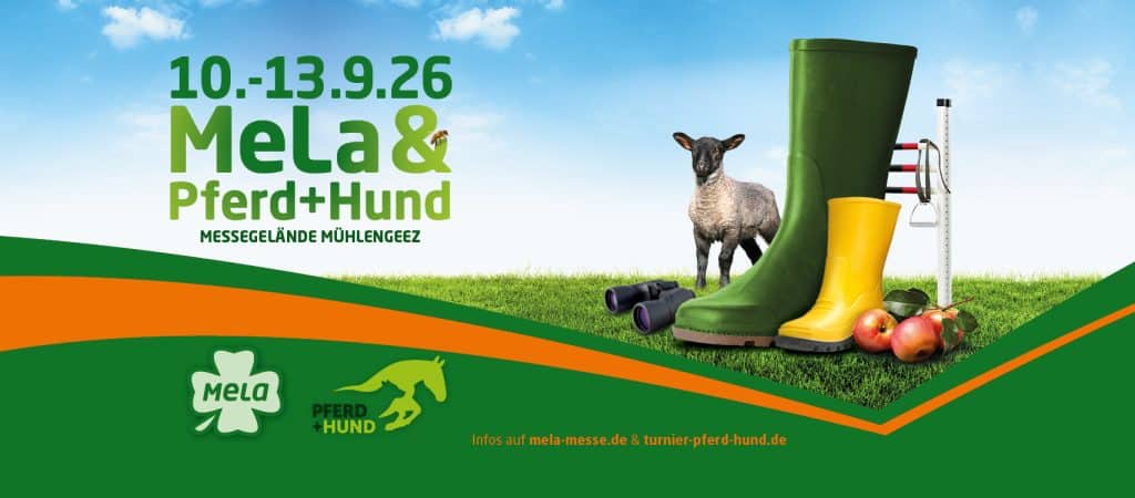 Eventi - Multione